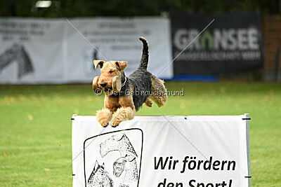 Baldur von der Laubenhaid