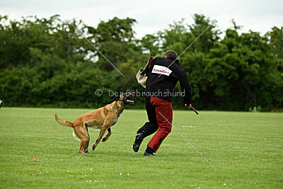 Bali vom Mittelpunkt