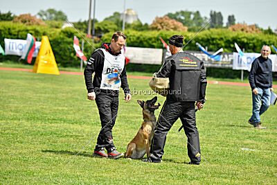 Bali vom Mittelpunkt