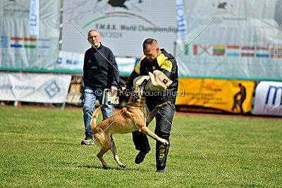 Bali vom Mittelpunkt