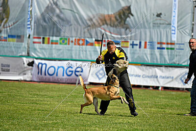 Bali vom Mittelpunkt