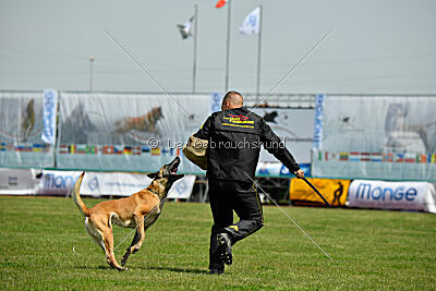 Bali vom Mittelpunkt