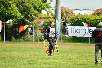 Bali vom Mittelpunkt