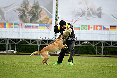 Bali vom Mittelpunkt