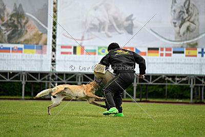 Bali vom Mittelpunkt