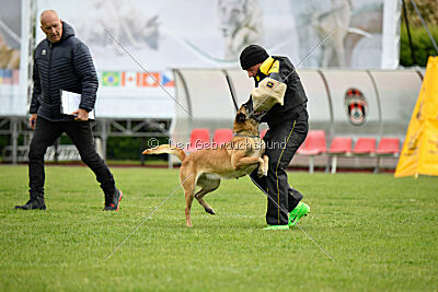 Bali vom Mittelpunkt