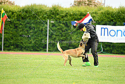 Bali vom Mittelpunkt