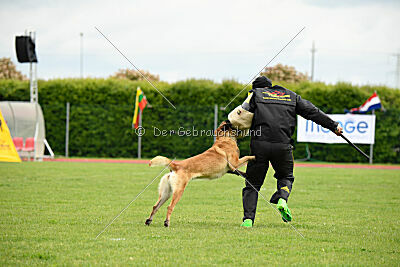 Bali vom Mittelpunkt