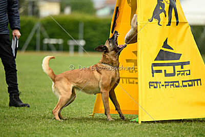 Bali vom Mittelpunkt