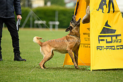 Bali vom Mittelpunkt