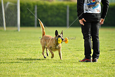 Bali vom Mittelpunkt