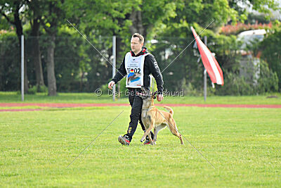 Bali vom Mittelpunkt