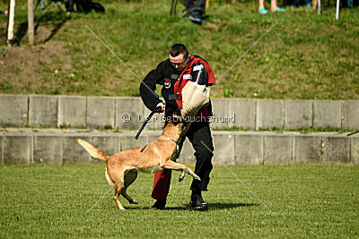 Bali vom Mittelpunkt