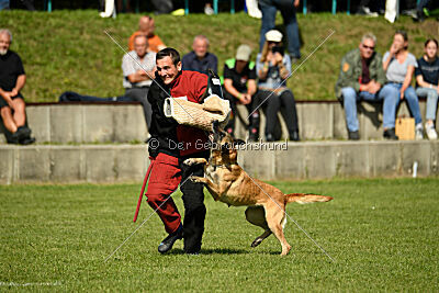 Bali vom Mittelpunkt