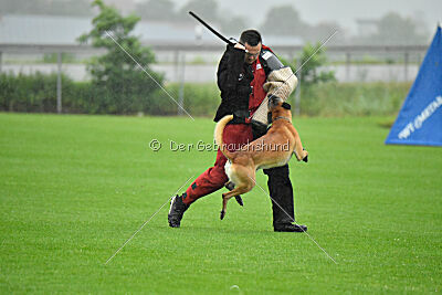 Banda Los Valientes Arturo