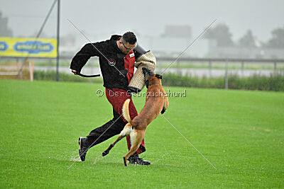 Banda Los Valientes Arturo