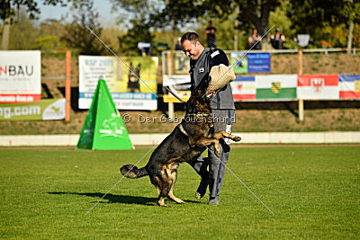 Bandit vom Steinsaal