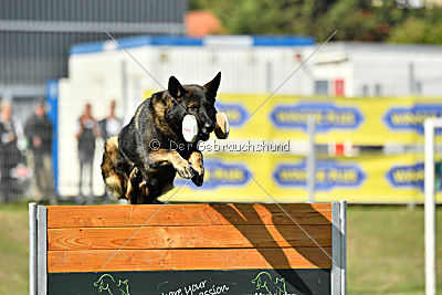 Bandit vom Steinsaal
