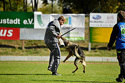Banu vom Team Nordsturm