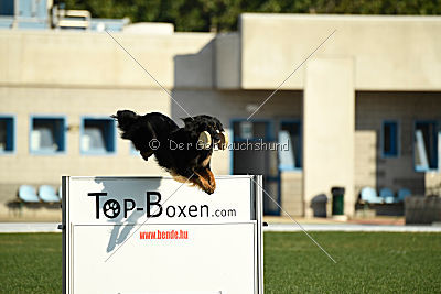 Bara von den Kurpfalzjägern