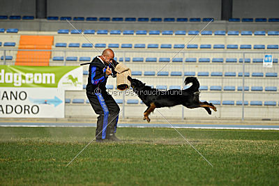 Bara von den Kurpfalzjägern