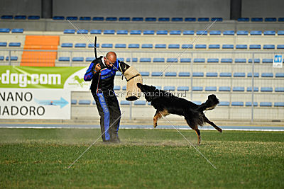 Bara von den Kurpfalzjägern
