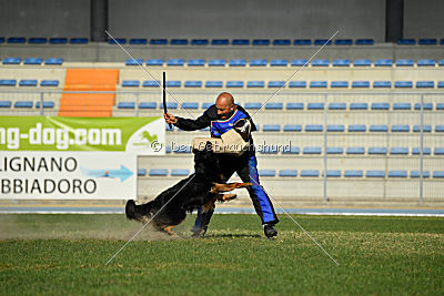 Bara von den Kurpfalzjägern