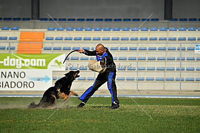 Bara von den Kurpfalzjägern