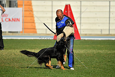 Bara von den Kurpfalzjägern
