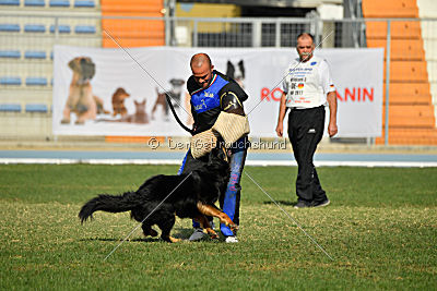 Bara von den Kurpfalzjägern