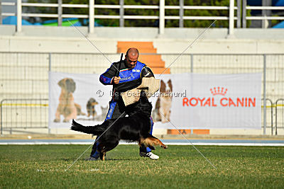 Bara von den Kurpfalzjägern