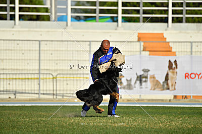 Bara von den Kurpfalzjägern