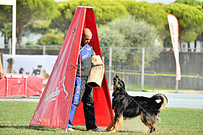 Bara von den Kurpfalzjägern