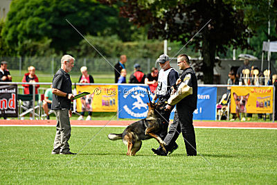 Barack von den Bleicheröder Bergen