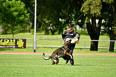 Barack von den Bleicheröder Bergen