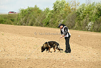 Barack von den Bleichröder Bergen