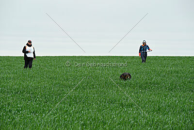 Barack von den Bleichröder Bergen