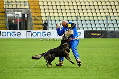 Baron von der tiefen Quelle