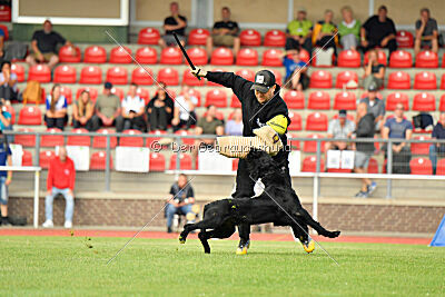 Barrac of Giant Black Hawks