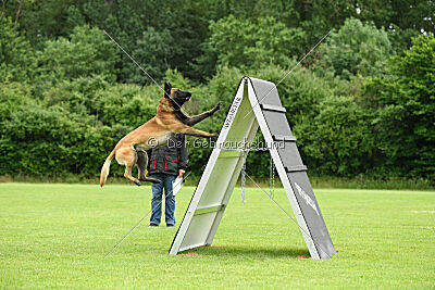 Barry de Fontemordant