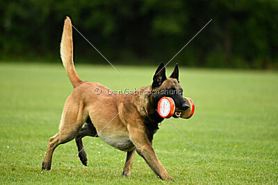 Barry de Fontemordant