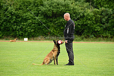 Barry de Fontemordant