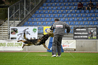 Basko von der Haugshöhe