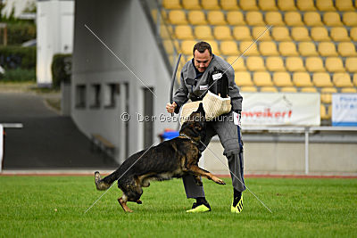 Basko von der Haugshöhe