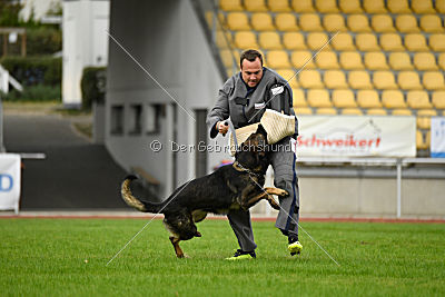 Basko von der Haugshöhe