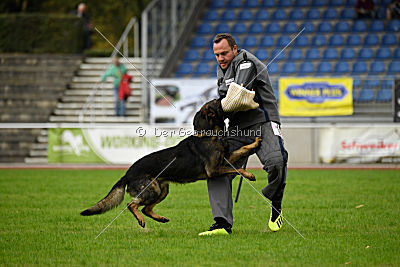 Basko von der Haugshöhe