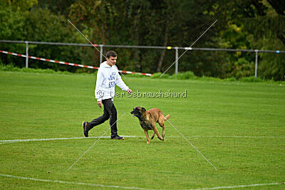Baxel vom Haus Edental