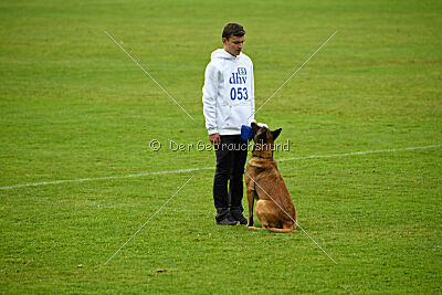 Baxel vom Haus Edental