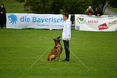 Baxel vom Haus Edental