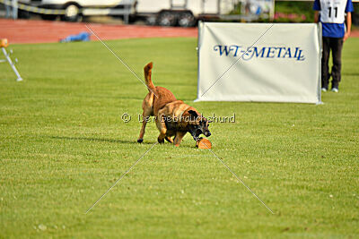 Baxel vom Haus Edental